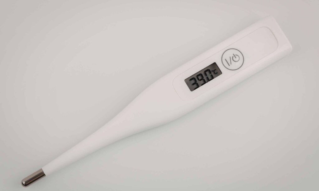 Fever During Your Bali Trip? Here’s What to Know about Dengue