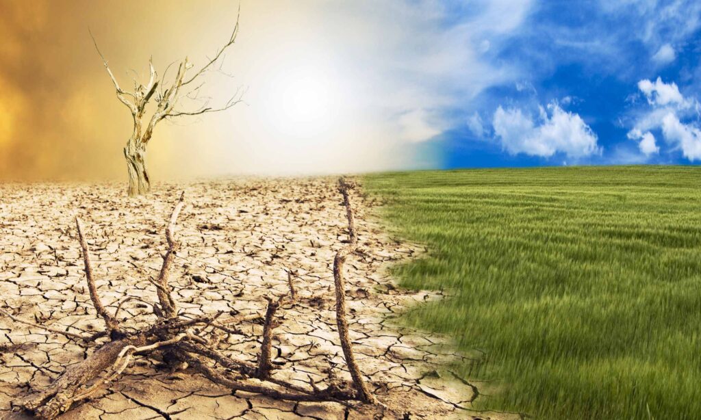 Fever During Your Bali Trip? Here’s What to Know about Dengue