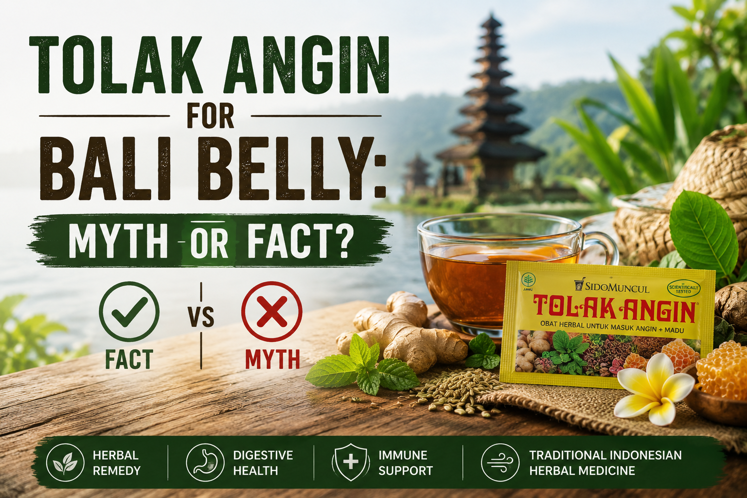 Tolak Angin for Bali Belly: Myth or Fact?